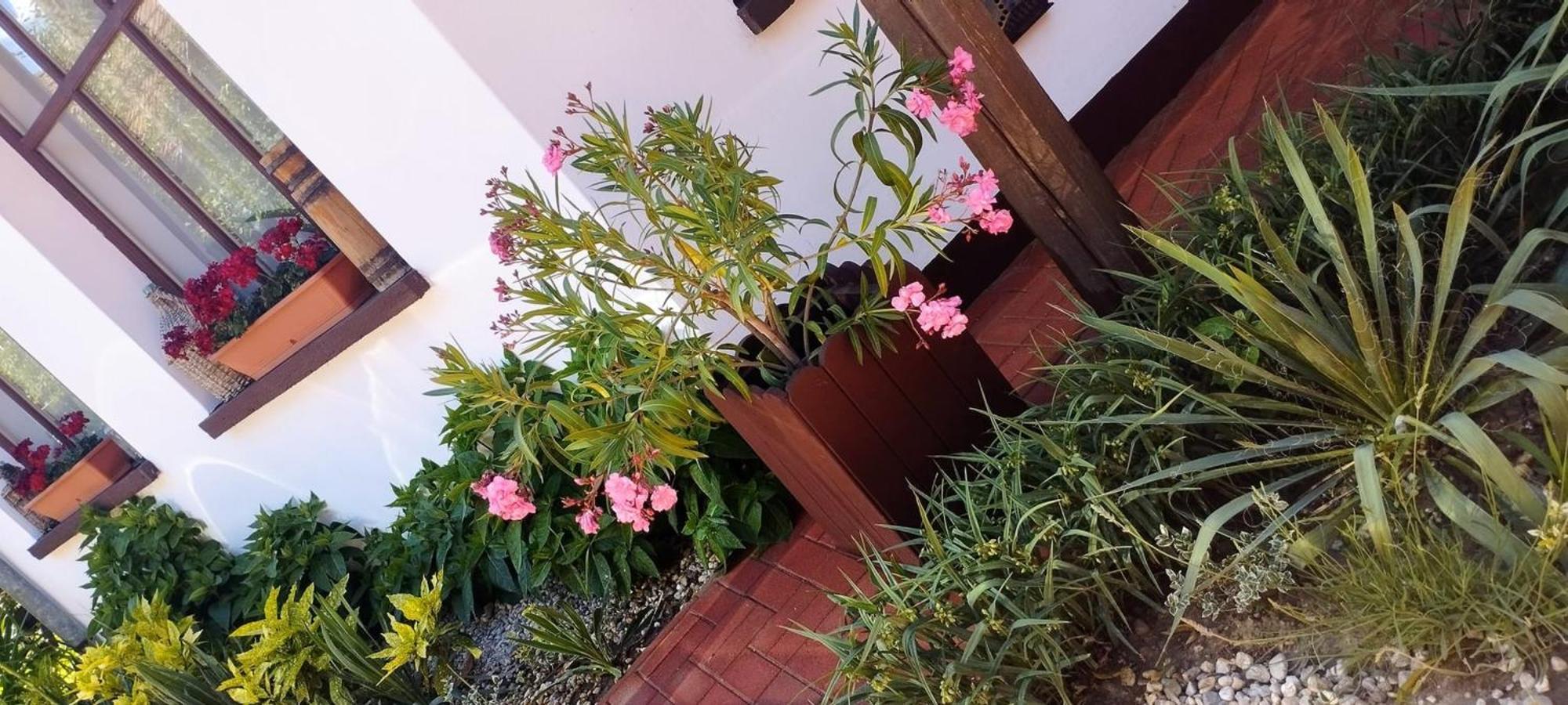Erzsebet Vendeghaz Es Apartman Hajdúszoboszló Buitenkant foto
