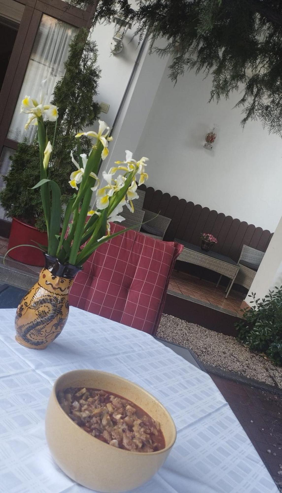 Erzsebet Vendeghaz Es Apartman Hajdúszoboszló Buitenkant foto